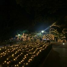 遊歩道にもたくさんのイルミネーション