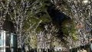 イルミネーション