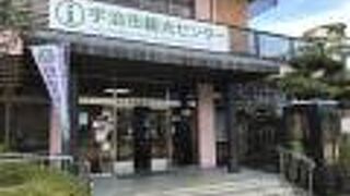 別棟にある宇治市営の茶室で、お点前体験