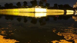 印象的な夜景でした