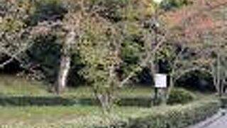 手入れが行き届いてる