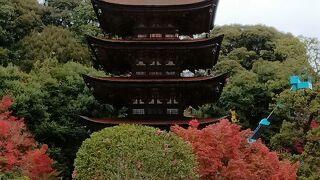 法隆寺、醍醐寺と並ぶ、日本三名塔の一つだそうです