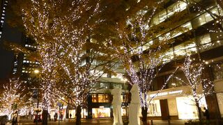 冬の風物詩といった印象です