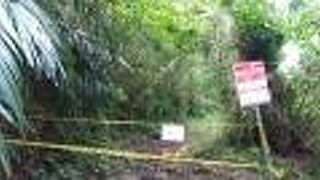 途中で通行止めになっていた