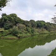 深緑に包まれた千鳥ヶ淵