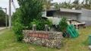 ヤエヤマヒルギの器