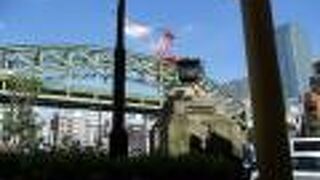 徳川綱吉が命名