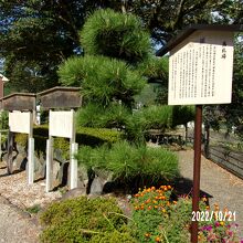 高札場の様子です。