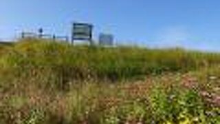 ほとんど川面が見えませんでした