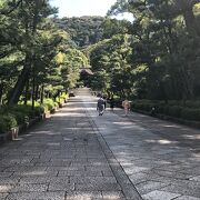 まっすぐ広い石畳のなだらかな坂の参道