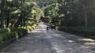 まっすぐ広い石畳のなだらかな坂の参道