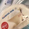 韓国料理の機内食