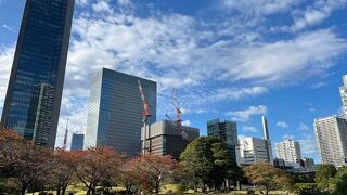 旧芝離宮恩賜庭園の紅葉