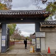 大阪城西の丸庭園 