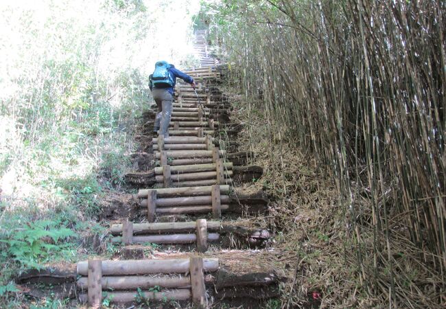 屏風山に登りました