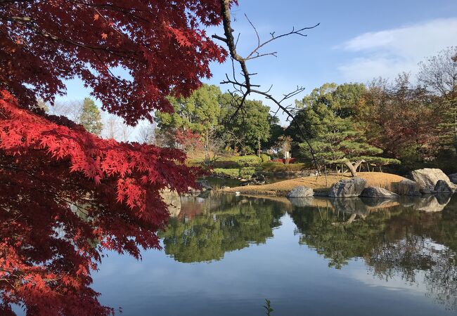 紅葉で綺麗な日本庭園を散歩