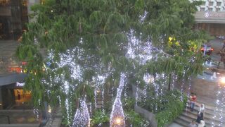 イルミネーションが続いていました