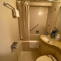 バスルームはそれほど狭く無いがやはり古さが目立つ