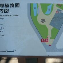 赤塚植物園の案内図です。広い敷地の中に多くの植物があります。