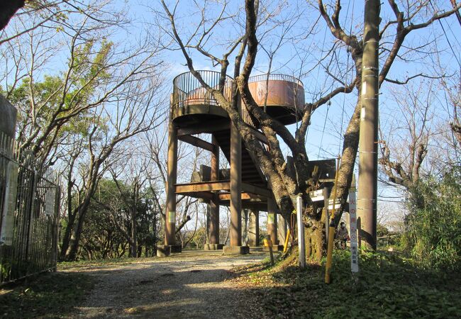 衣笠山公園の展望台に登りました