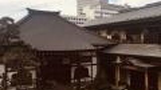 上から全景を見渡す