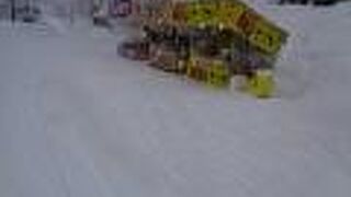 初詣で人気の神社