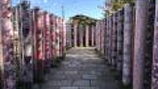 色とりどりのカラフルで美しい京友禅