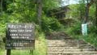 草津ビジターセンターの展示を見ました