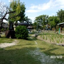 公園の様子です。