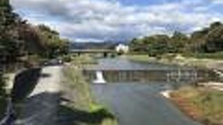 賀茂川上流には東に上賀茂神社