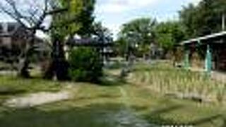 花しょうぶ園があります。