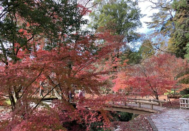 曽木公園