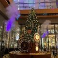 クリスマスシーズンに 1F マルキューブに飾られる大きなツリー