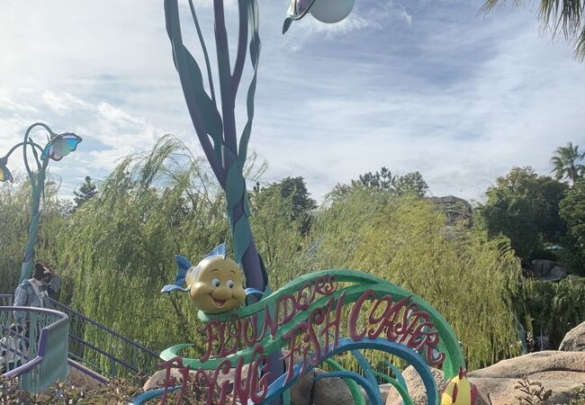 フランダーのフライングフィッシュコースター クチコミ