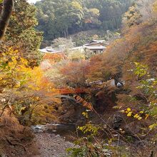 赤い欄干の渡猿橋辺りの紅葉は素晴らしいです。