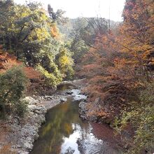 清滝川の紅葉です。