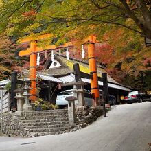 嵯峨野鳥居本の平野屋さんで紅葉見物は終了しました。