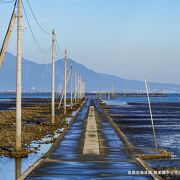 物珍しい風景を眺めながら干潟の海辺をノンビリ散策