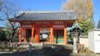  市川市散策で下総国分寺に寄りました