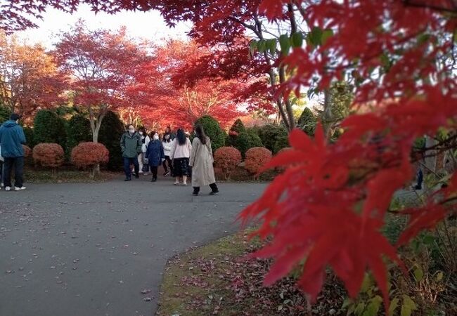 平岡樹芸センター