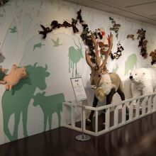 かわいらしい動物のぬいぐるみがたくさん展示されています