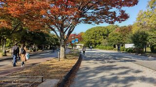 いい天気で散策を楽しめました。