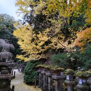 両側に燈篭があり風情ある