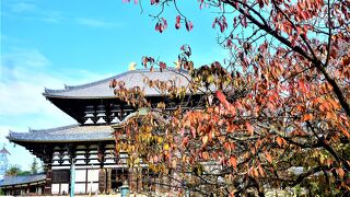 11月上旬、東大寺も紅葉の始まりでした♪