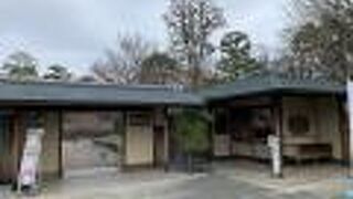 「紅葉山庭園」は、茶室もある見事な庭園、静岡おでんの店もあり