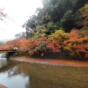 高雄の紅葉