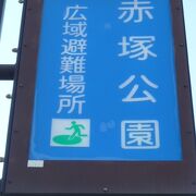 赤塚公園は、板橋区の公園のひとつで、高島平地区及び赤塚城跡地区等、広く点在しています。