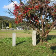 学校院跡には石碑と楷樹が残るだけです。