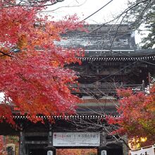 本堂に続く参道も 紅葉で真っ盛り