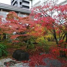 鳥取温泉 観水庭こぜにや